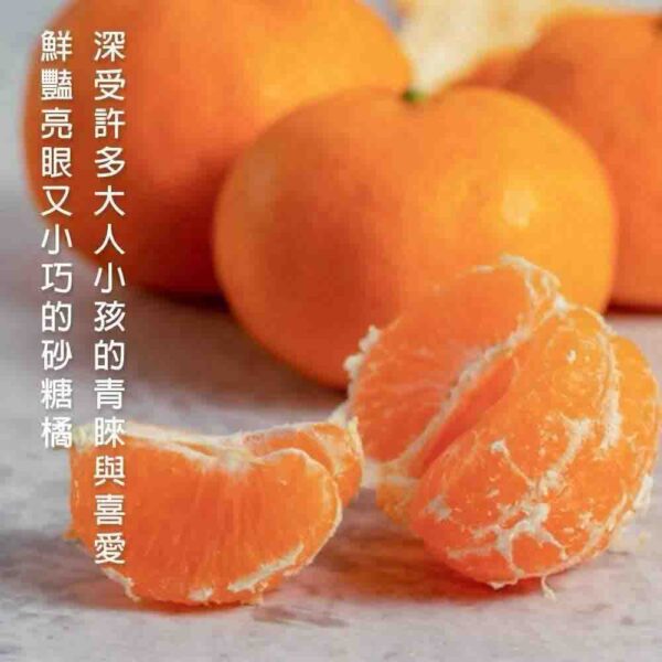 南非砂糖橘：圖片 2