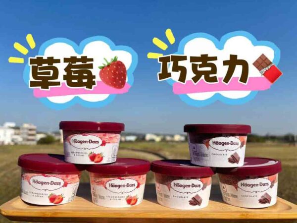 哈根達斯75ml