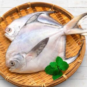 野生正白鯧魚