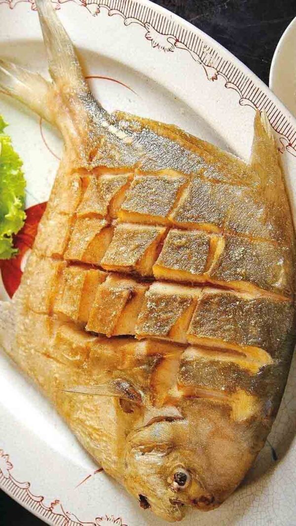 野生正白鯧魚：圖片 4