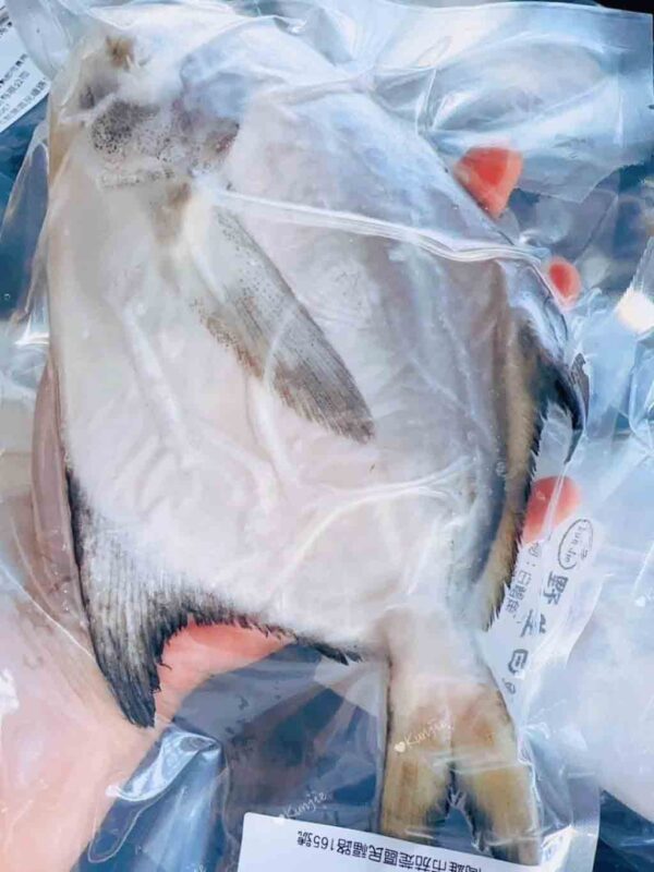 鯧魚 海鮮